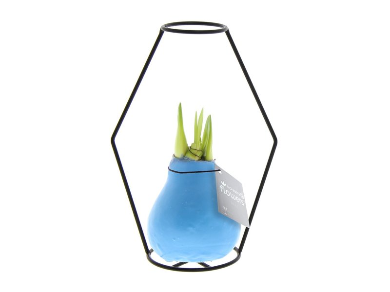 No Water Flowers® - Formz modern No Water Flowers® - Formz modern