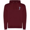 Roly hoodie Urban voor heren Roly hoodie Urban voor heren