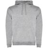 Roly hoodie Urban voor heren Roly hoodie Urban voor heren