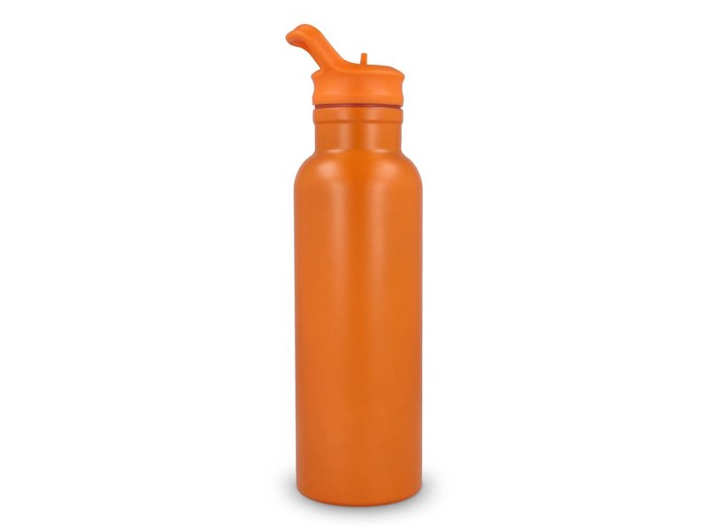 Darion thermo fles 500ml Darion thermo fles 500ml