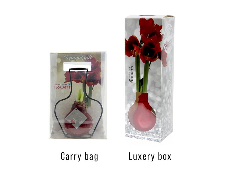 No Water Flowers® - Formz classic No Water Flowers® - Formz classic