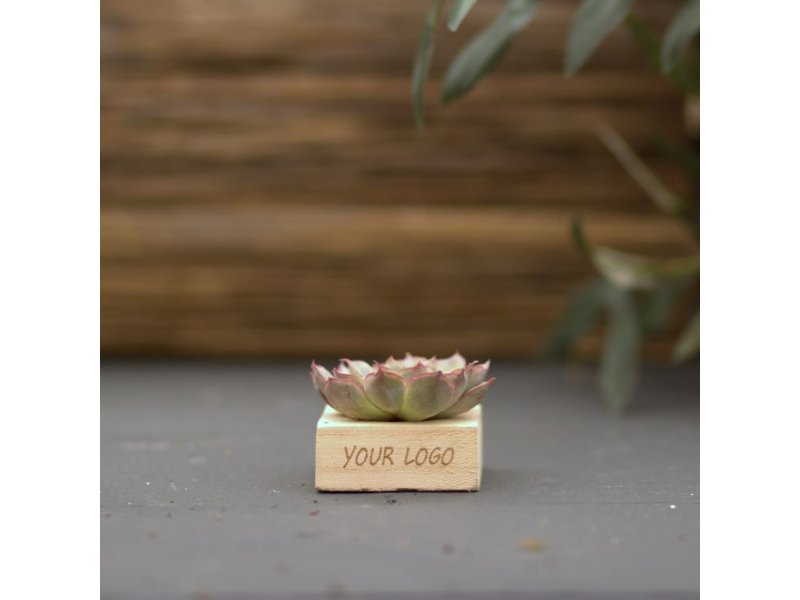 Tiny Treasurez® - Single wood in giftbox Tiny Treasurez® - Single wood in giftbox