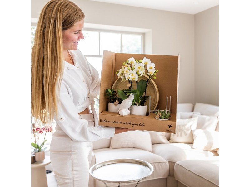 Botanical Giftset large - Travertine Charm Botanical Giftset large - Travertine Charm