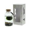 Marimo moss balls - bottle medium Marimo moss balls - bottle medium
