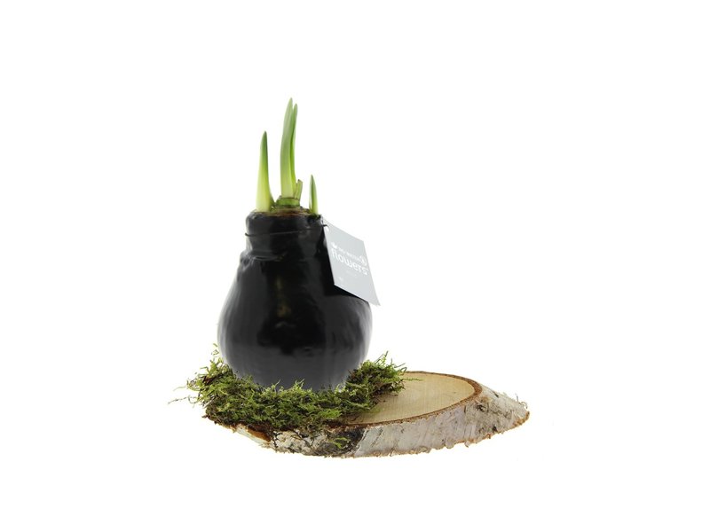 No Water Flowers® - Waxz® on wood No Water Flowers® - Waxz® on wood