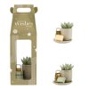 Aromatic Christmas Giftset small - Snowy Succulent Aromatic Christmas Giftset small - Snowy Succulent