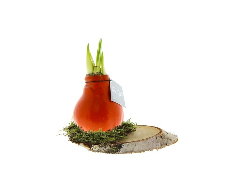 No Water Flowers® - Waxz® on wood No Water Flowers® - Waxz® on wood