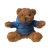 Teddybeer met hooded shirt: Leuk met uw logo