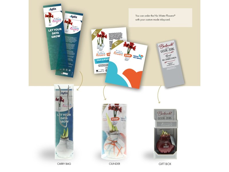 No Water Flowers® - Giletz Bowtie No Water Flowers® - Giletz Bowtie