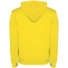 Roly hoodie Urban voor heren Roly hoodie Urban voor heren