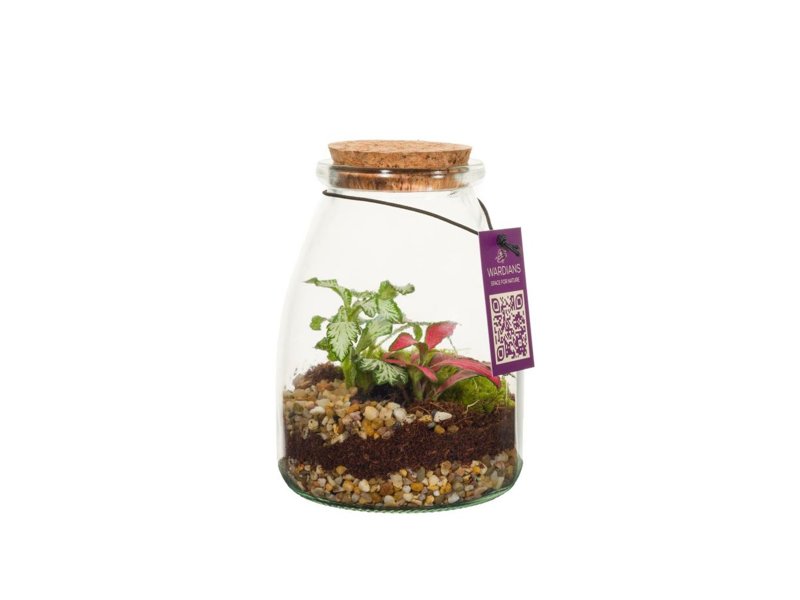 Wardians® ecosysteem - Bottle small