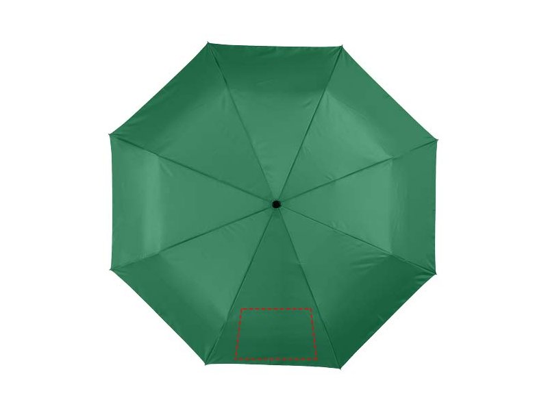 Alex 21,5'' opvouwbare automatische paraplu
