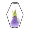 No Water Flowers® - Formz modern No Water Flowers® - Formz modern