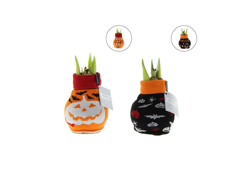 No Water Flowers® - Fashionz Halloween