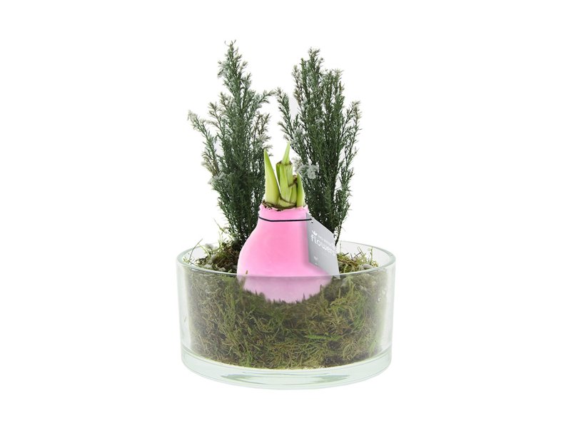 No Water Flowers® - Christmas glass elegance No Water Flowers® - Christmas glass elegance