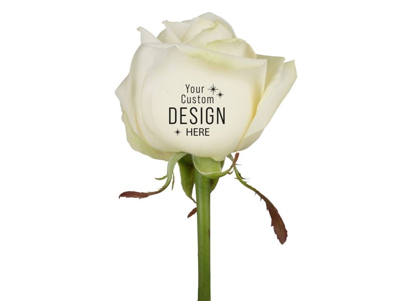 Message Printz Roos - Personaliseer Bloemrijk Jouw Boodschap