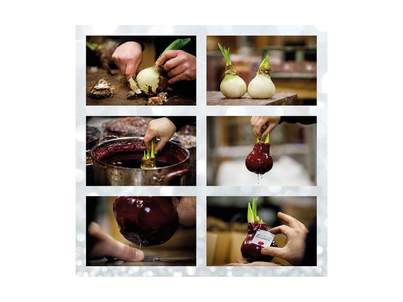 No Water Flowers® - Formz modern No Water Flowers® - Formz modern