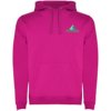 Roly hoodie Urban voor heren Roly hoodie Urban voor heren