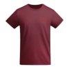 Roly t-shirt kids Breda
