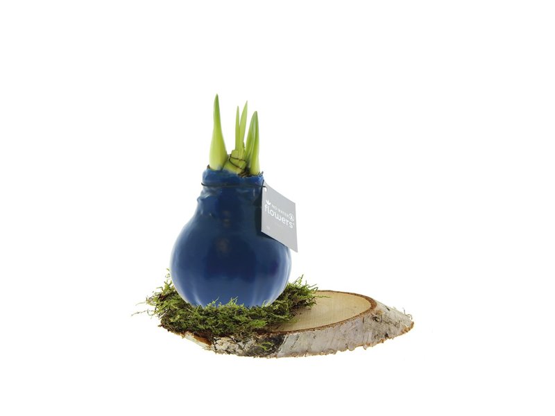 No Water Flowers® - Waxz® on wood No Water Flowers® - Waxz® on wood