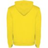 Roly hoodie Urban voor heren