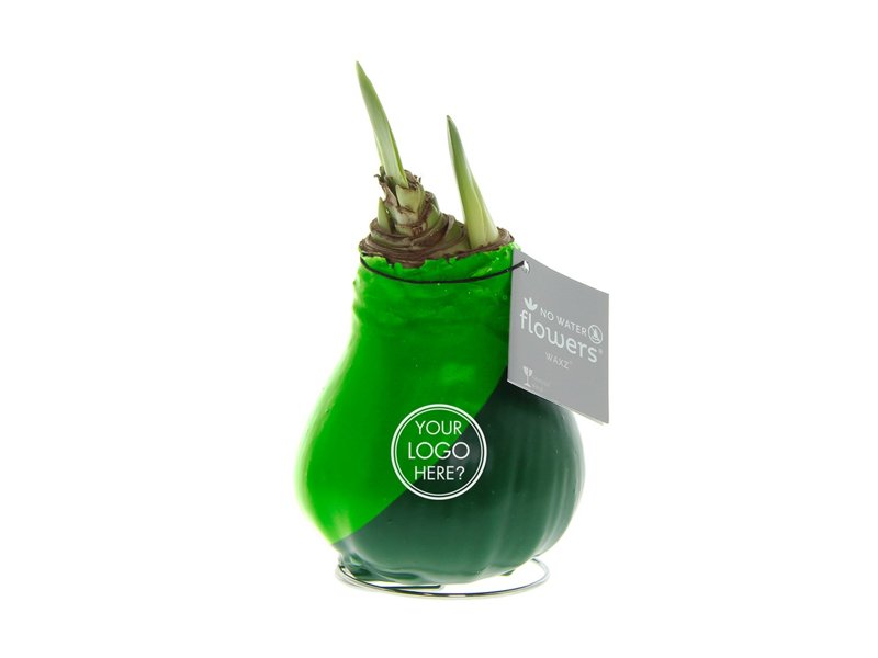 No Water Flowers® - Dipz angle