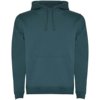 Roly hoodie Urban voor heren Roly hoodie Urban voor heren