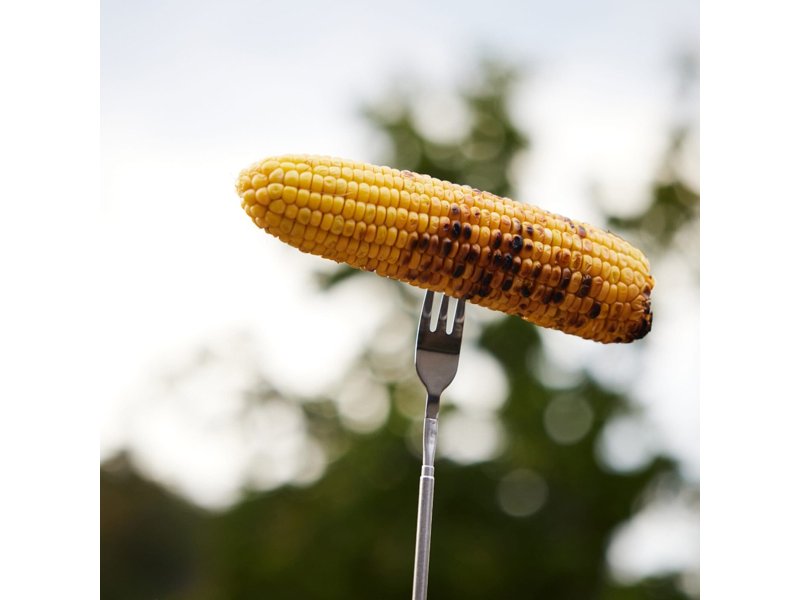 Sagaform Fredde uitschuifbare vork Sagaform Fredde uitschuifbare vork