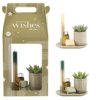 Aromatic Christmas Giftset large - Snowy Succulent Aromatic Christmas Giftset large - Snowy Succulent