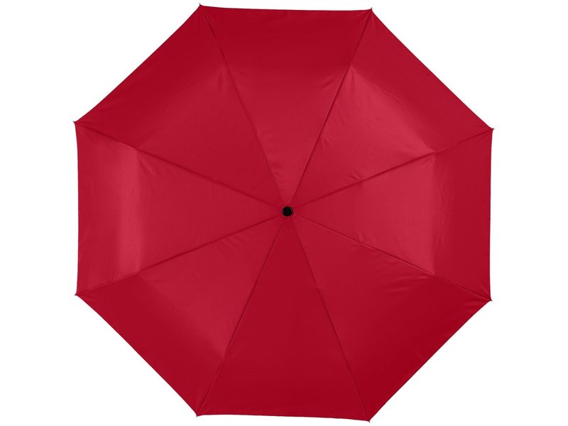 Alex 21,5'' opvouwbare automatische paraplu