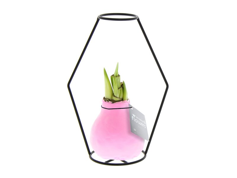 No Water Flowers® - Formz modern No Water Flowers® - Formz modern