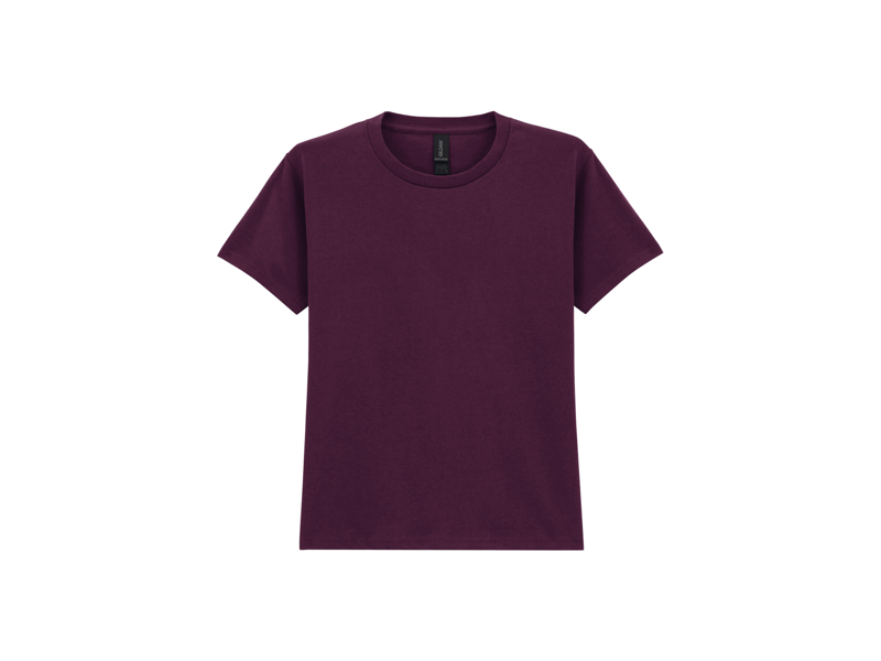 Kinder t-shirt van Gildan, mooie zware kwaliteit shirt, goed te bedrukken met uw logo Kinder t-shirt van Gildan, mooie zware kwaliteit shirt, goed te bedrukken met uw logo