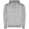 Roly hoodie Urban voor heren