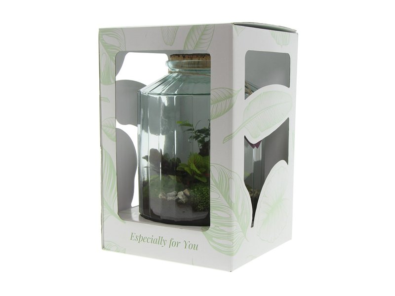 Wardians® ecosysteem - Stripe large