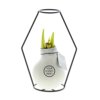 No Water Flowers® - Formz modern No Water Flowers® - Formz modern