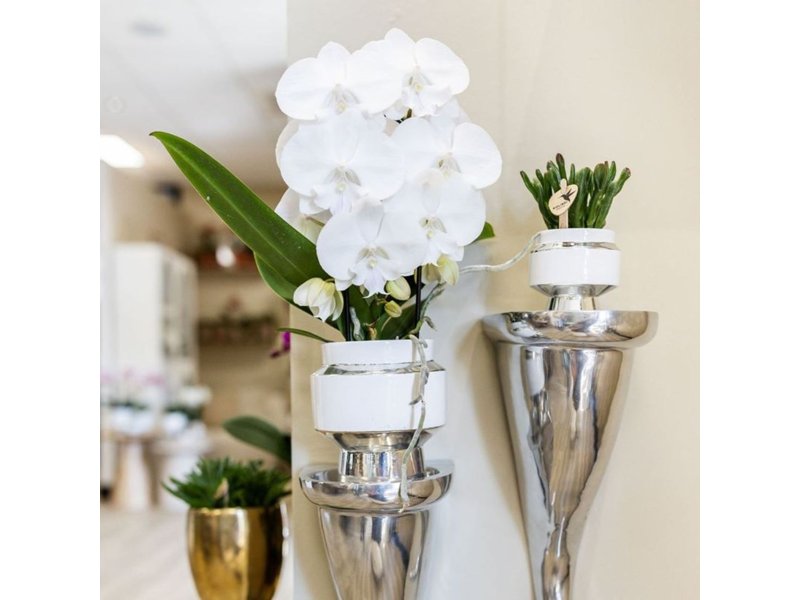 Botanical Giftset small - Luxury Silver Botanical Giftset small - Luxury Silver