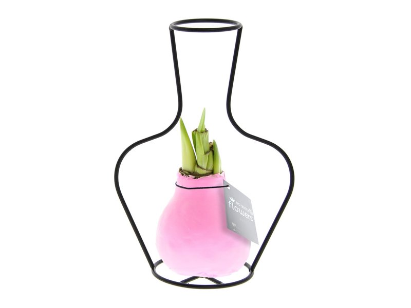 No Water Flowers® - Formz classic No Water Flowers® - Formz classic