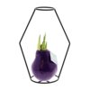 No Water Flowers® - Formz modern No Water Flowers® - Formz modern