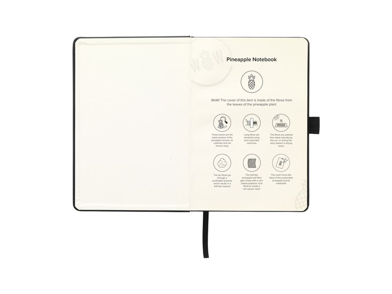 Pineapple Notebook notitieboek Pineapple Notebook notitieboek