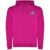 Roly hoodie Urban voor heren
