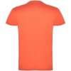 Roly kindershirt Beagle