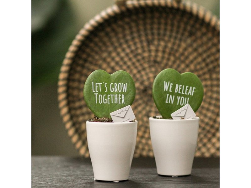 Message Printz® - Hartjesplant