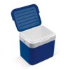 Koelbox classic 10L