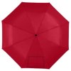 Alex 21,5'' opvouwbare automatische paraplu