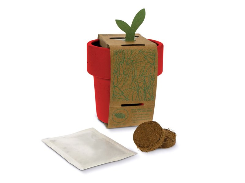 Hot-but-cool beker met kerstomaten zaadjes Hot-but-cool beker met kerstomaten zaadjes