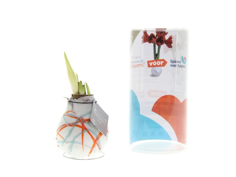 No Water Flowers® - Waxz® Art No Water Flowers® - Waxz® Art