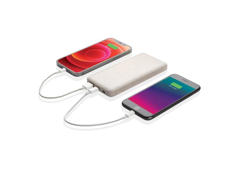 Powerbank 10.000 mAh tarwevezel