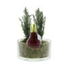No Water Flowers® - Christmas glass elegance No Water Flowers® - Christmas glass elegance