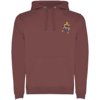 Roly hoodie Urban voor heren