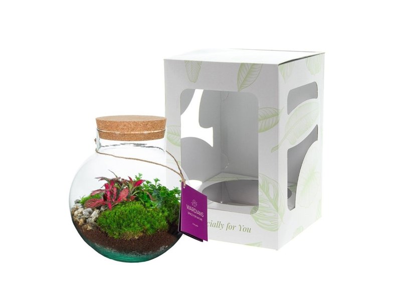 Wardians® ecosysteem - Bowl medium